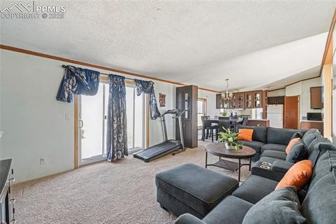 Tiny photo for 265 Trout Road, Fairplay, CO 80440 (MLS # 4442170)