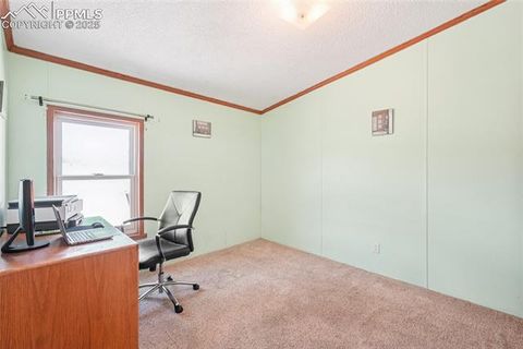 Tiny photo for 265 Trout Road, Fairplay, CO 80440 (MLS # 4442170)