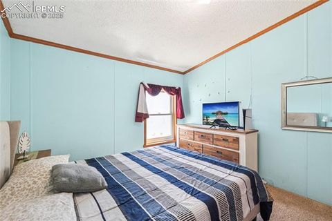 Tiny photo for 265 Trout Road, Fairplay, CO 80440 (MLS # 4442170)
