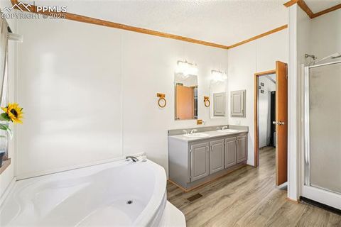 Tiny photo for 265 Trout Road, Fairplay, CO 80440 (MLS # 4442170)