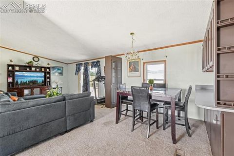 Tiny photo for 265 Trout Road, Fairplay, CO 80440 (MLS # 4442170)