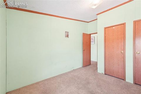 Tiny photo for 265 Trout Road, Fairplay, CO 80440 (MLS # 4442170)