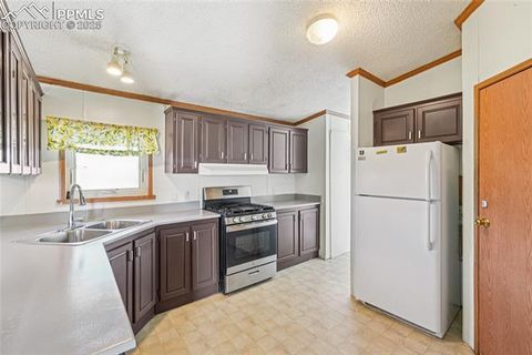 Tiny photo for 265 Trout Road, Fairplay, CO 80440 (MLS # 4442170)