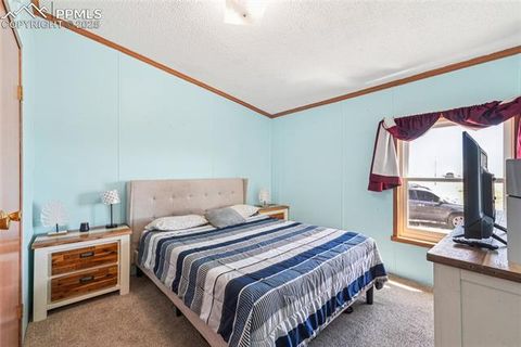 Tiny photo for 265 Trout Road, Fairplay, CO 80440 (MLS # 4442170)