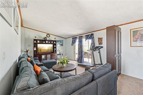 Tiny photo for 265 Trout Road, Fairplay, CO 80440 (MLS # 4442170)