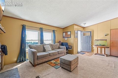 Tiny photo for 265 Trout Road, Fairplay, CO 80440 (MLS # 4442170)