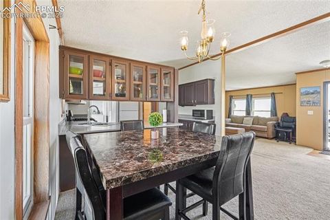 Tiny photo for 265 Trout Road, Fairplay, CO 80440 (MLS # 4442170)