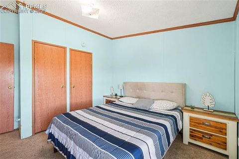 Tiny photo for 265 Trout Road, Fairplay, CO 80440 (MLS # 4442170)