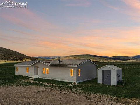 Tiny photo for 265 Trout Road, Fairplay, CO 80440 (MLS # 4442170)