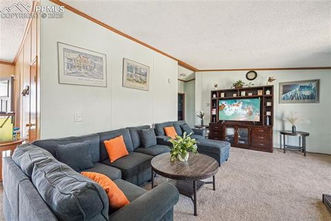 Tiny photo for 265 Trout Road, Fairplay, CO 80440 (MLS # 4442170)