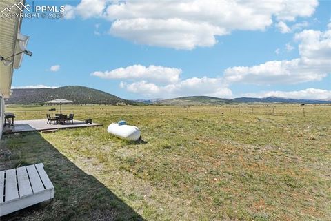 Tiny photo for 265 Trout Road, Fairplay, CO 80440 (MLS # 4442170)