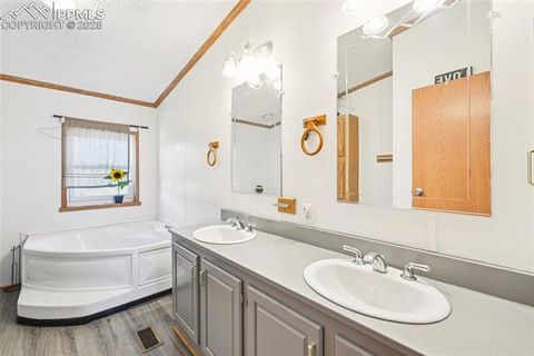 Tiny photo for 265 Trout Road, Fairplay, CO 80440 (MLS # 4442170)