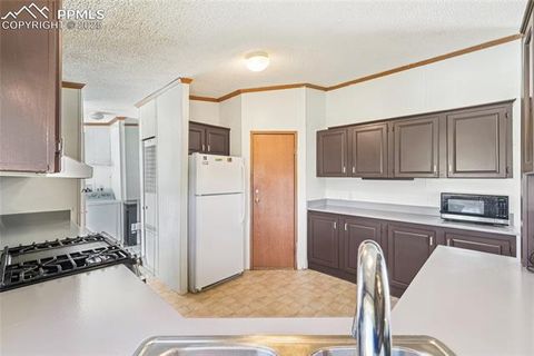 Tiny photo for 265 Trout Road, Fairplay, CO 80440 (MLS # 4442170)