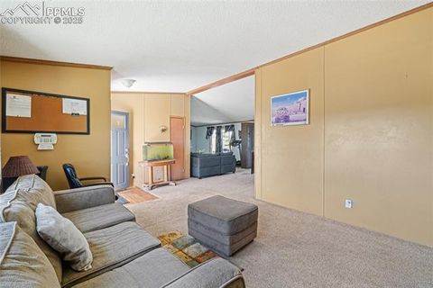 Tiny photo for 265 Trout Road, Fairplay, CO 80440 (MLS # 4442170)