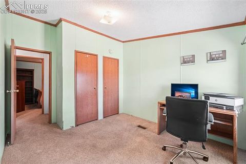 Tiny photo for 265 Trout Road, Fairplay, CO 80440 (MLS # 4442170)