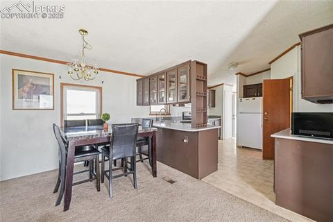 Tiny photo for 265 Trout Road, Fairplay, CO 80440 (MLS # 4442170)