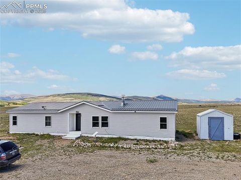 Tiny photo for 265 Trout Road, Fairplay, CO 80440 (MLS # 4442170)