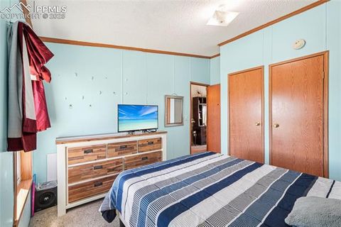 Tiny photo for 265 Trout Road, Fairplay, CO 80440 (MLS # 4442170)