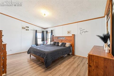 Tiny photo for 265 Trout Road, Fairplay, CO 80440 (MLS # 4442170)