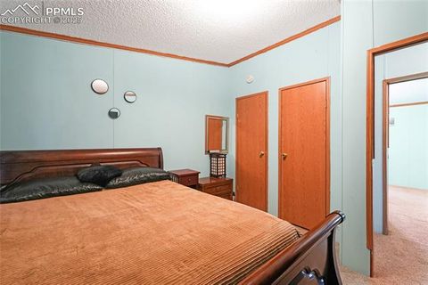 Tiny photo for 265 Trout Road, Fairplay, CO 80440 (MLS # 4442170)