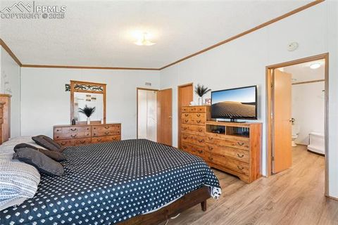 Tiny photo for 265 Trout Road, Fairplay, CO 80440 (MLS # 4442170)