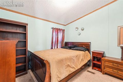 Tiny photo for 265 Trout Road, Fairplay, CO 80440 (MLS # 4442170)