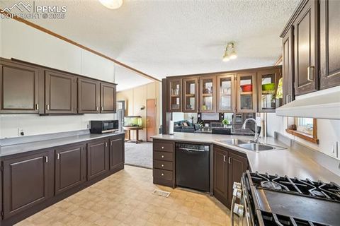 Tiny photo for 265 Trout Road, Fairplay, CO 80440 (MLS # 4442170)