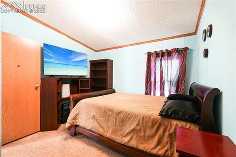 Tiny photo for 265 Trout Road, Fairplay, CO 80440 (MLS # 4442170)