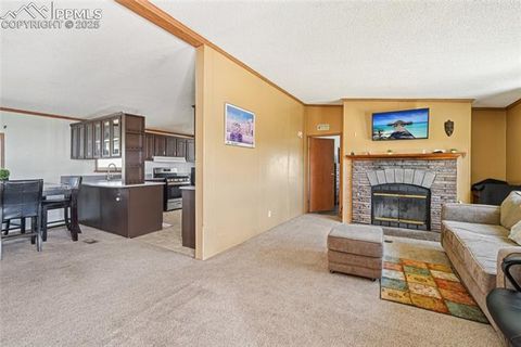 Tiny photo for 265 Trout Road, Fairplay, CO 80440 (MLS # 4442170)