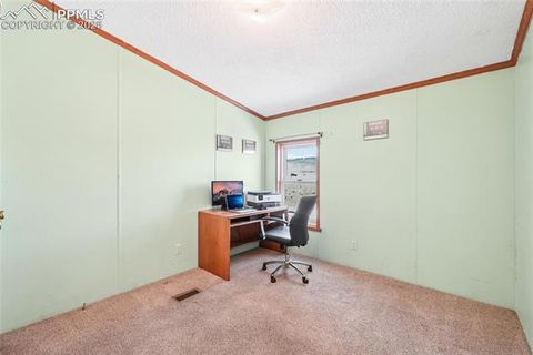 Tiny photo for 265 Trout Road, Fairplay, CO 80440 (MLS # 4442170)