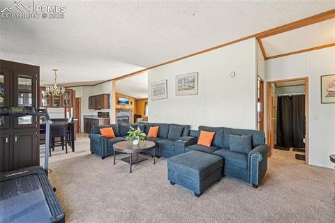 Tiny photo for 265 Trout Road, Fairplay, CO 80440 (MLS # 4442170)