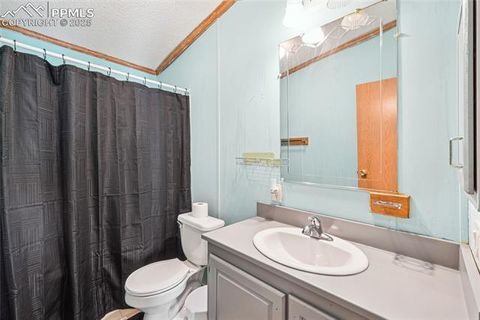 Tiny photo for 265 Trout Road, Fairplay, CO 80440 (MLS # 4442170)