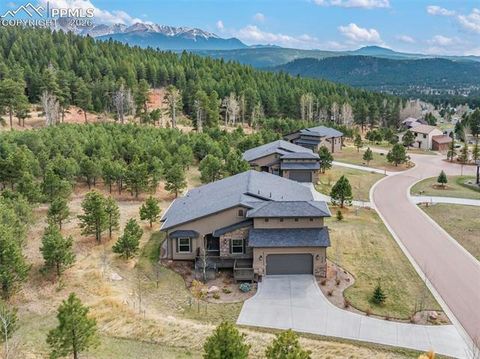 Photo of 1120 Highlands Court, Woodland Park, CO 80863 (MLS # 3122627)