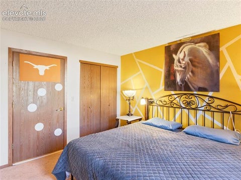 Tiny photo for 380 Paradise Circle #C1, Woodland Park, CO 80863 (MLS # 8714682)