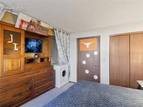 Tiny photo for 380 Paradise Circle #C1, Woodland Park, CO 80863 (MLS # 8714682)
