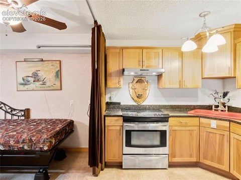 Tiny photo for 380 Paradise Circle #C1, Woodland Park, CO 80863 (MLS # 8714682)