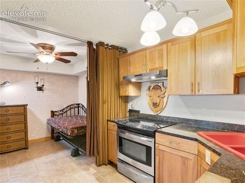 Tiny photo for 380 Paradise Circle #C1, Woodland Park, CO 80863 (MLS # 8714682)