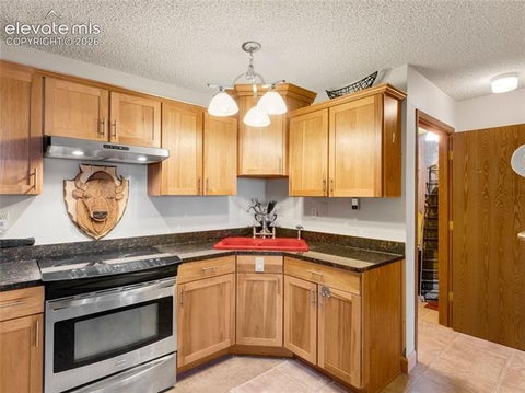 Tiny photo for 380 Paradise Circle #C1, Woodland Park, CO 80863 (MLS # 8714682)