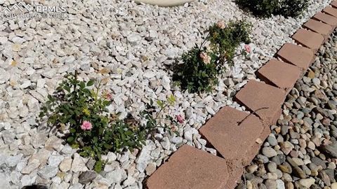 Tiny photo for 2118 N Chestnut Street, Colorado Springs, CO 80907 (MLS # 4564210)
