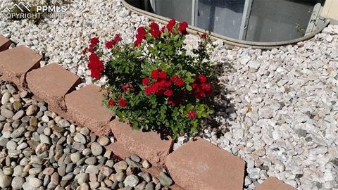 Tiny photo for 2118 N Chestnut Street, Colorado Springs, CO 80907 (MLS # 4564210)