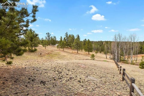 Tiny photo for 145 Eldorado Way, Florissant, CO 80816 (MLS # 4187534)