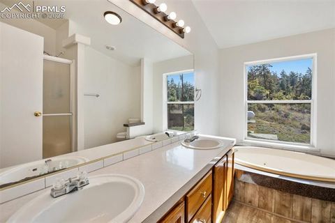 Tiny photo for 125 Comanche Circle, Florissant, CO 80816 (MLS # 6490356)