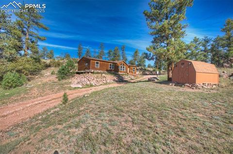 Tiny photo for 125 Comanche Circle, Florissant, CO 80816 (MLS # 6490356)