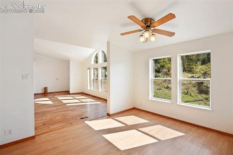 Tiny photo for 125 Comanche Circle, Florissant, CO 80816 (MLS # 6490356)