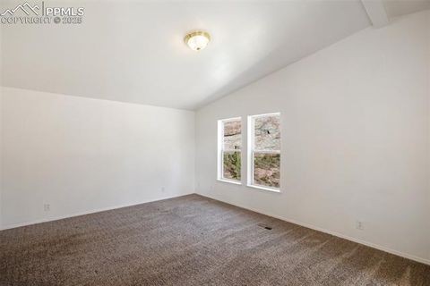 Tiny photo for 125 Comanche Circle, Florissant, CO 80816 (MLS # 6490356)