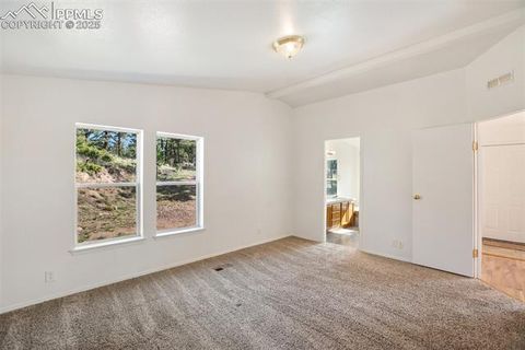 Tiny photo for 125 Comanche Circle, Florissant, CO 80816 (MLS # 6490356)