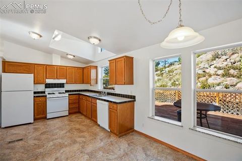 Tiny photo for 125 Comanche Circle, Florissant, CO 80816 (MLS # 6490356)