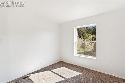 Tiny photo for 125 Comanche Circle, Florissant, CO 80816 (MLS # 6490356)