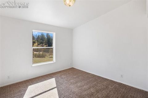 Tiny photo for 125 Comanche Circle, Florissant, CO 80816 (MLS # 6490356)