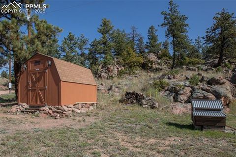 Tiny photo for 125 Comanche Circle, Florissant, CO 80816 (MLS # 6490356)